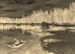 Sepia + Negatyw