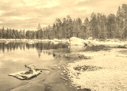Szary + Sepia