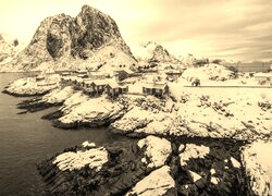 Szary + Sepia