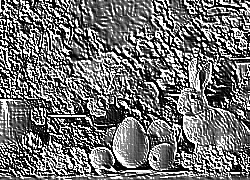 Skamielina