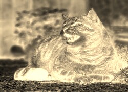 Sepia + Negatyw