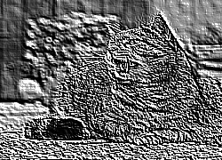 Skamielina