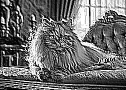 Skamielina