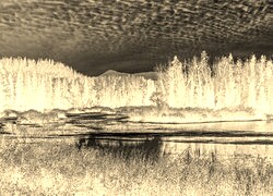 Sepia + Negatyw