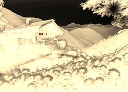 Sepia + Negatyw