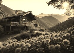 Sepia