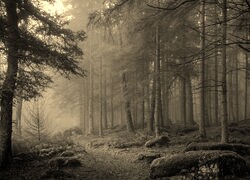 Sepia