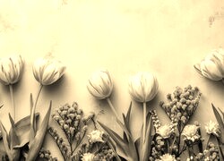 Szary + Sepia