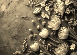 Szary + Sepia