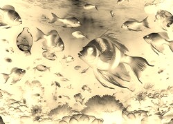 Sepia + Negatyw
