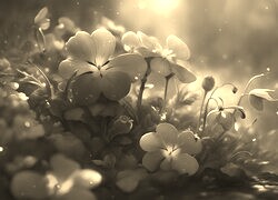 Szary + Sepia