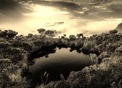 Szary + Sepia