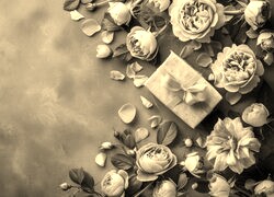 Szary + Sepia
