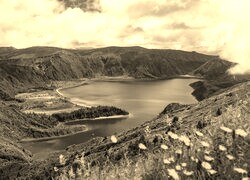 Sepia