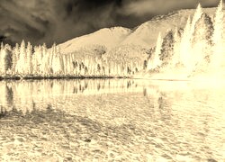 Sepia + Negatyw