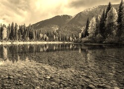 Szary + Sepia