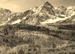Sepia