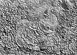 Skamielina