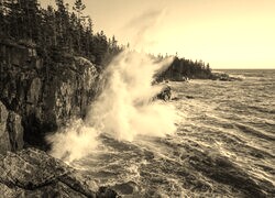 Sepia