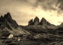 Szary + Sepia