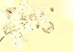 Szary + Sepia