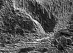 Skamielina