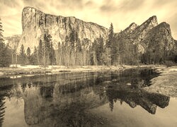 Szary + Sepia
