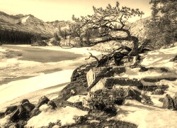 Sepia