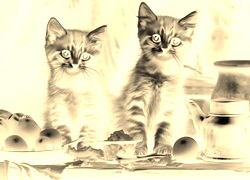 Sepia + Negatyw