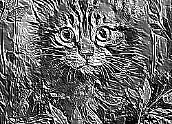 Skamielina