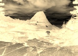 Sepia + Negatyw