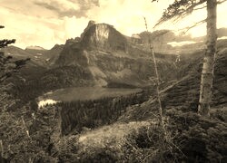 Szary + Sepia