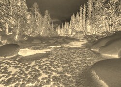 Sepia + Negatyw