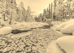 Szary + Sepia