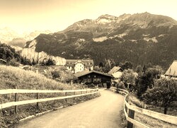 Szary + Sepia