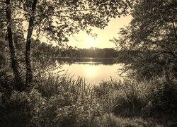 Szary + Sepia