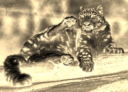 Sepia + Negatyw