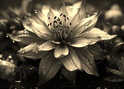 Sepia