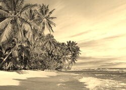 Szary + Sepia