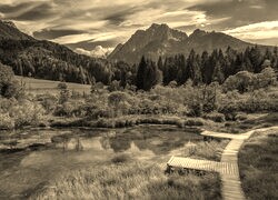 Szary + Sepia