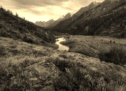 Sepia