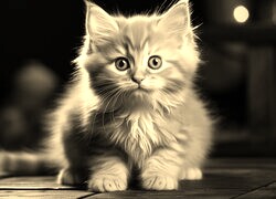Sepia