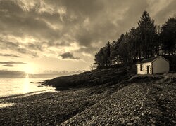 Sepia