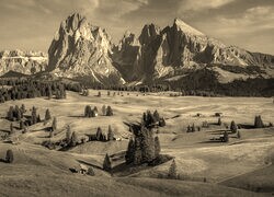 Szary + Sepia