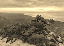 Szary + Sepia