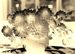 Sepia + Negatyw