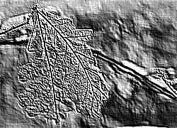 Skamielina