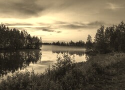 Szary + Sepia