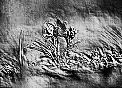 Skamielina