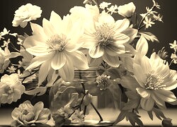 Szary + Sepia